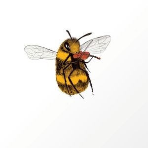 Meet your Posher, Maysa